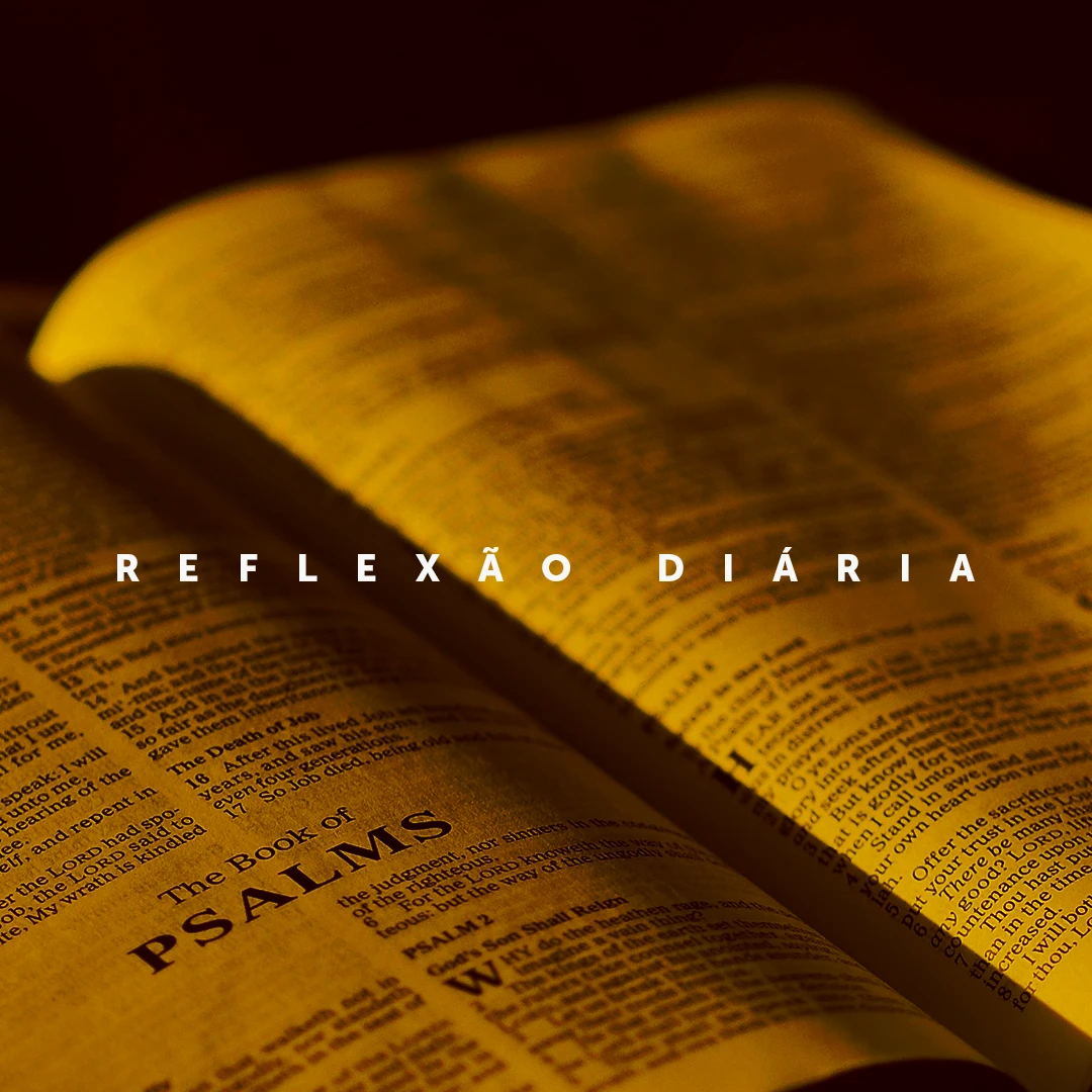 Reflexão Diária - 08-05-2022