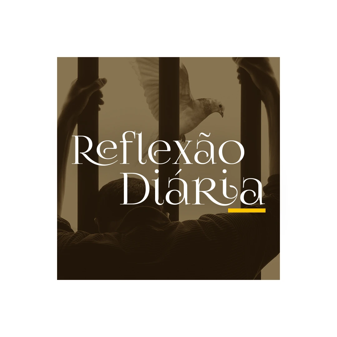 Reflexão Diária