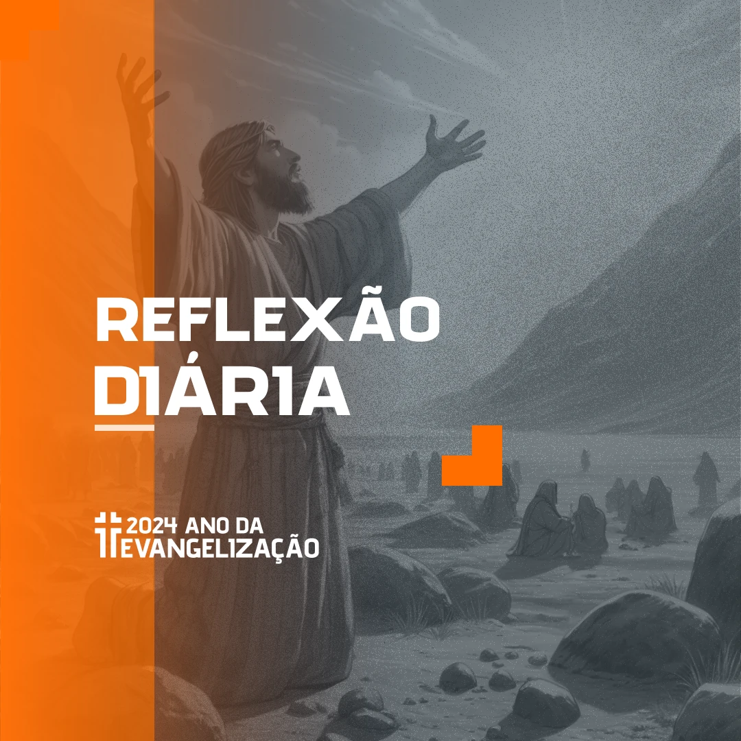 Reflexão Diária - 28-07-2024