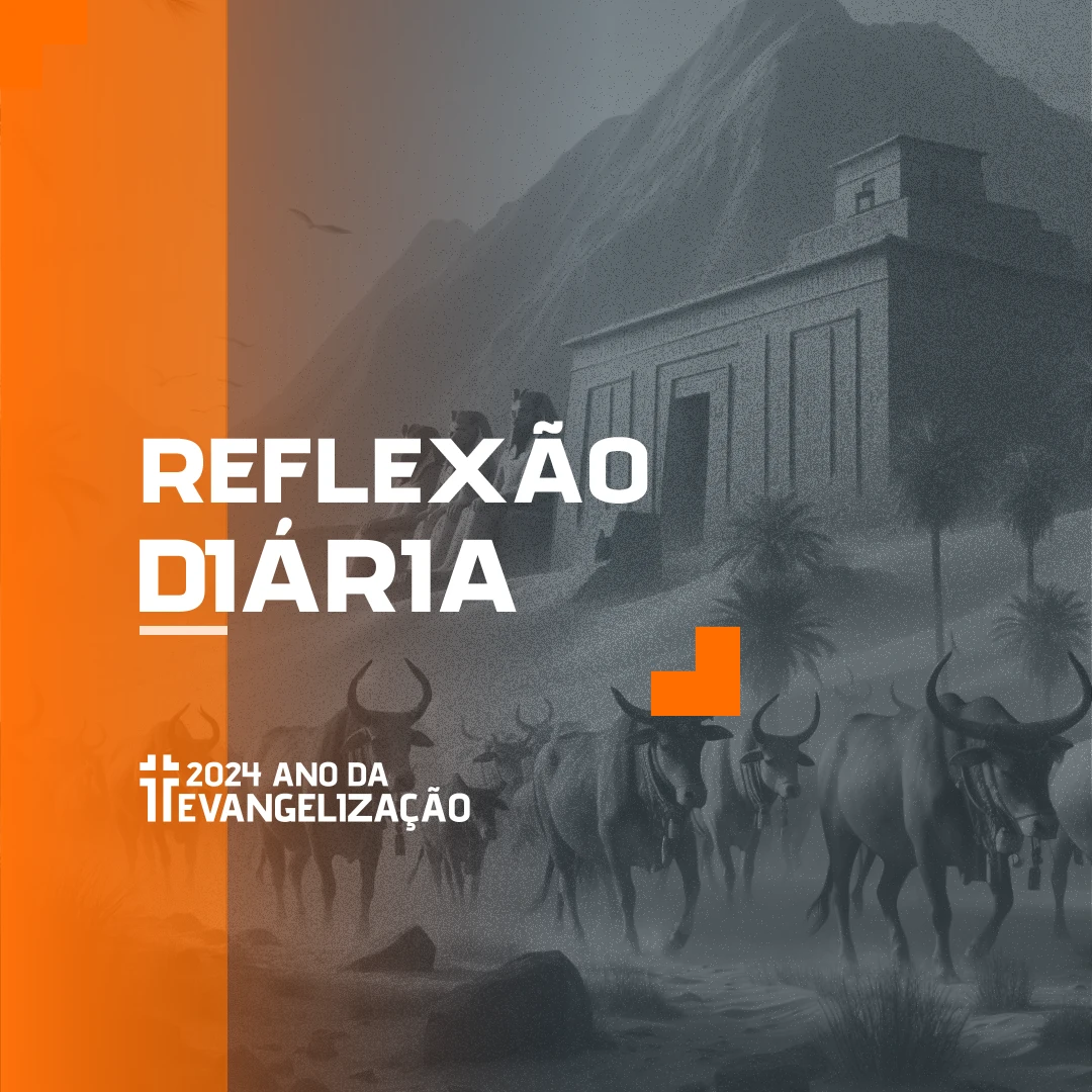 Reflexão Diária